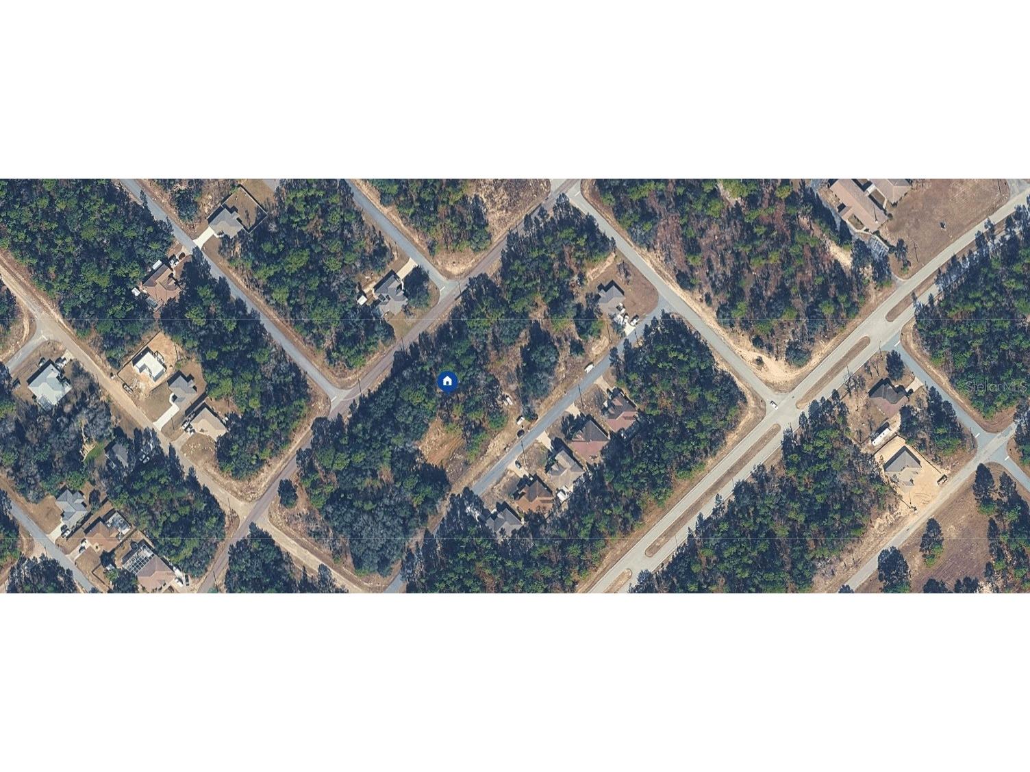 9313 N Hawkweed Drive Citrus Springs FL 34433 TB8466607 image3