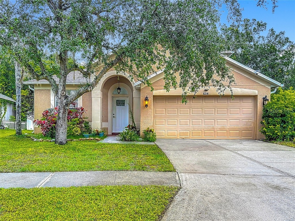 9314 Black Thorn Loop Land O Lakes FL 34638 TB8406188 image1