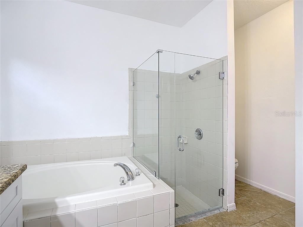 9314 Black Thorn Loop Land O Lakes FL 34638 TB8406188 image19