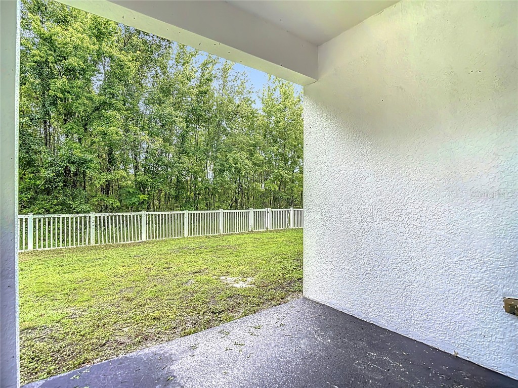 9314 Black Thorn Loop Land O Lakes FL 34638 TB8406188 image33