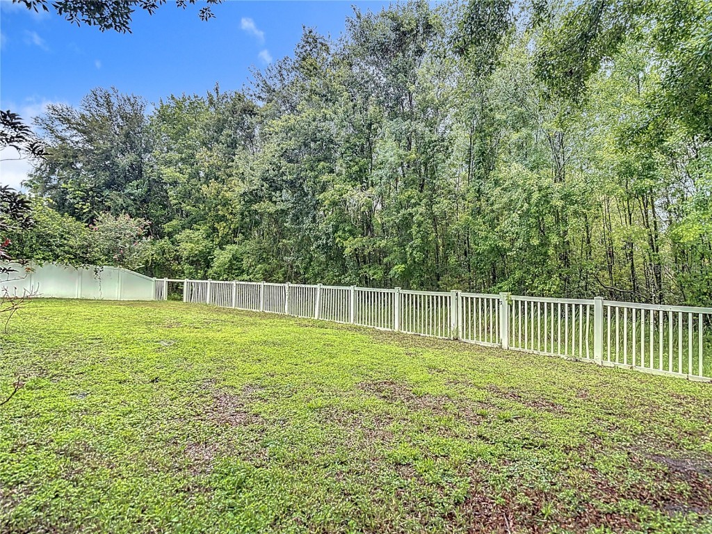 9314 Black Thorn Loop Land O Lakes FL 34638 TB8406188 image34