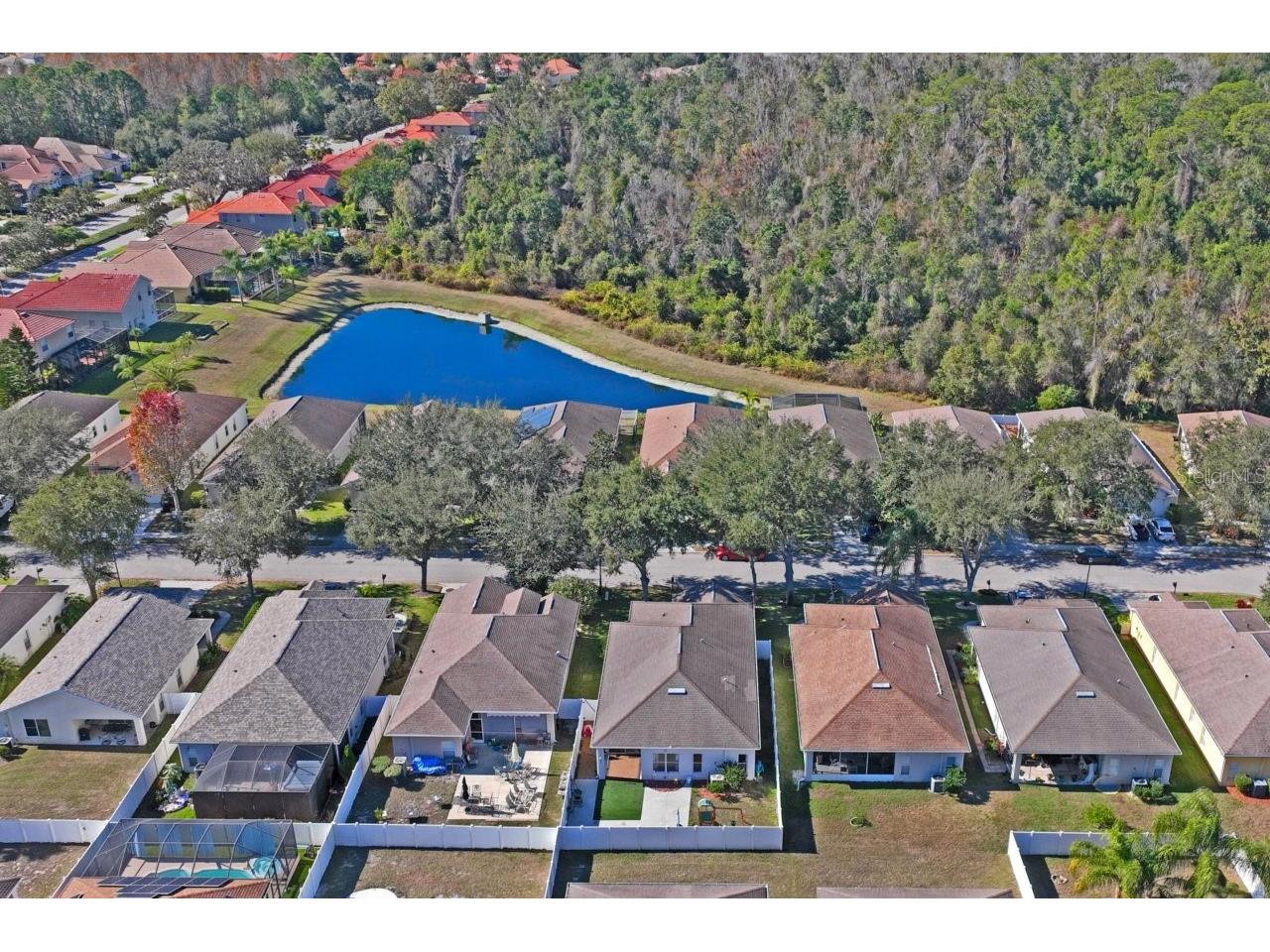 9314 Creedmoor Lane New Port Richey FL 34654 W7881695 image53