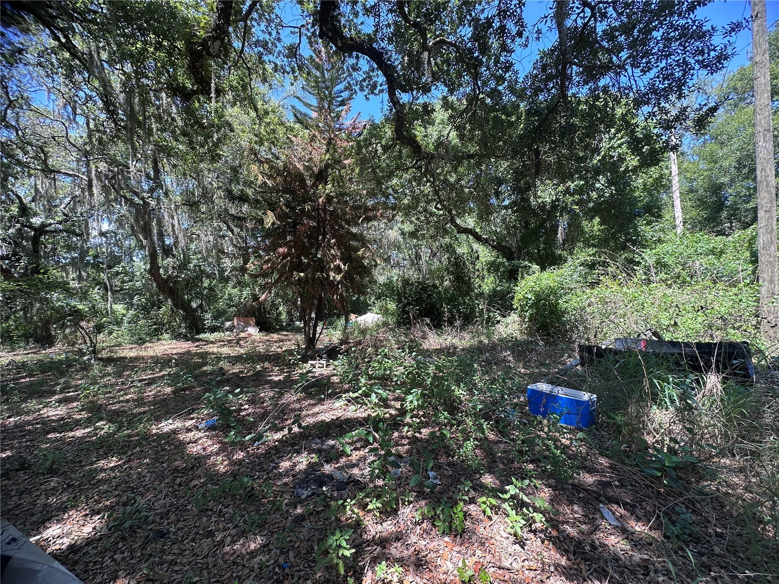 9315 E Treasure Island Avenue Leesburg FL 34788 G5112790 image23