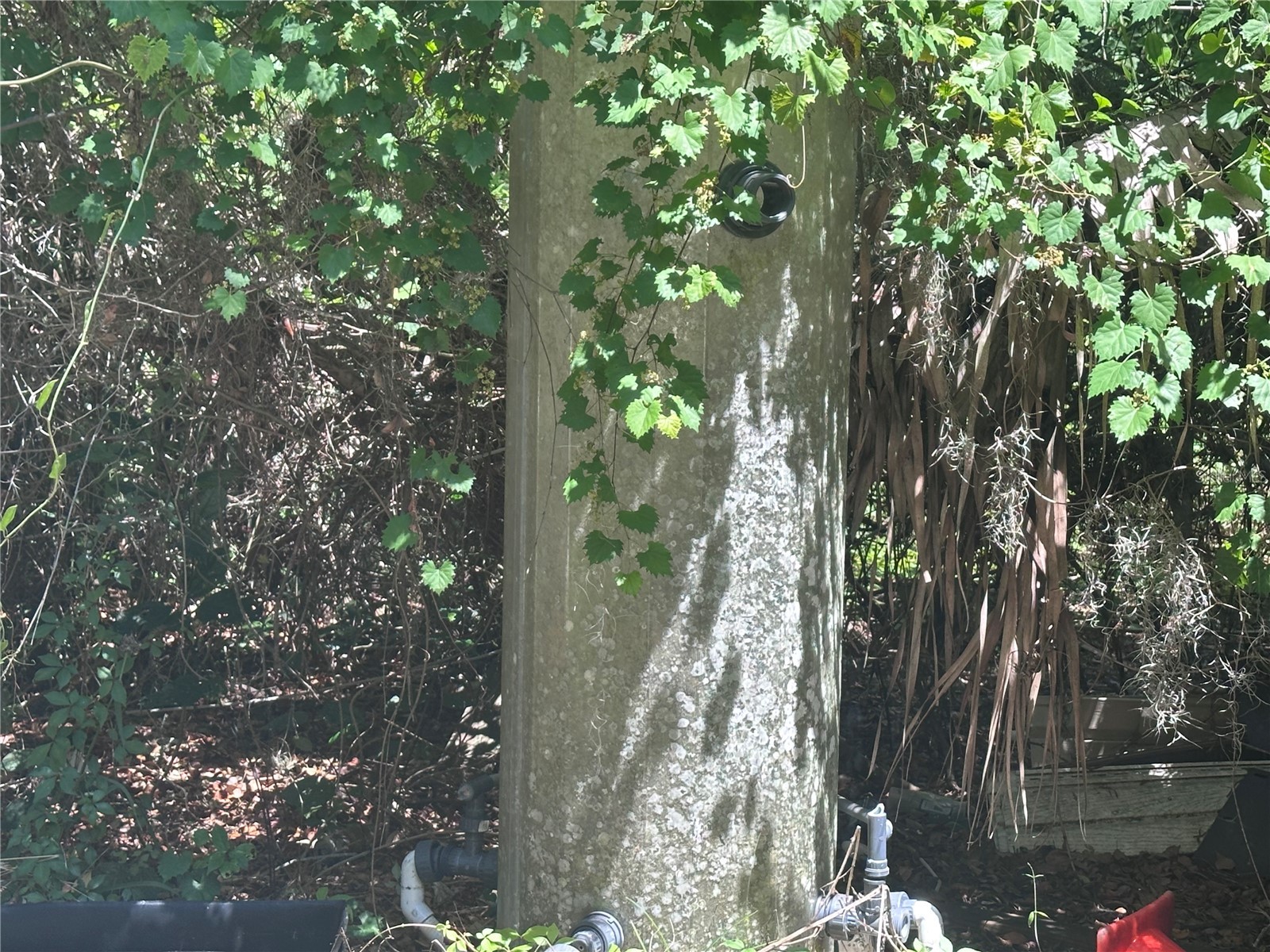 9315 E Treasure Island Avenue Leesburg FL 34788 G5112790 image48