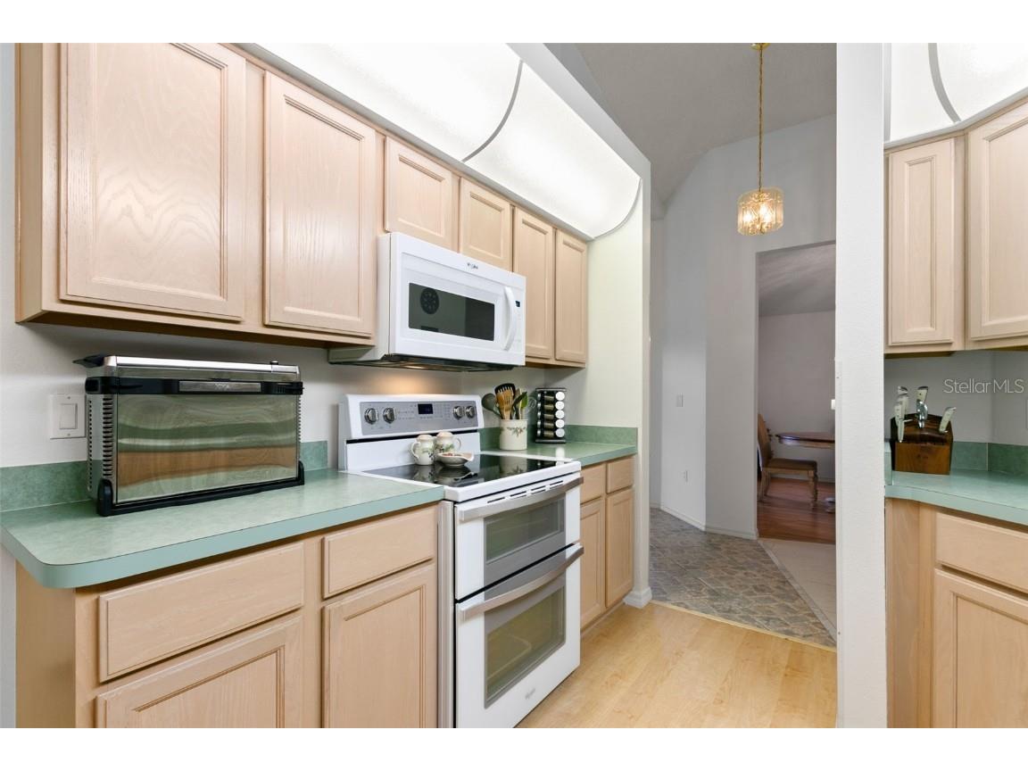 9315 Haas Drive Hudson FL 34669 TB8420820 image10