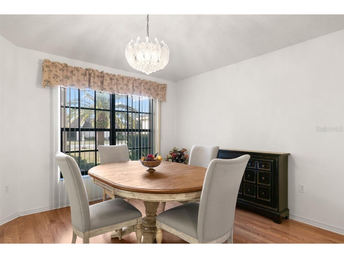 9315 Haas Drive Hudson FL 34669 TB8420820 image12