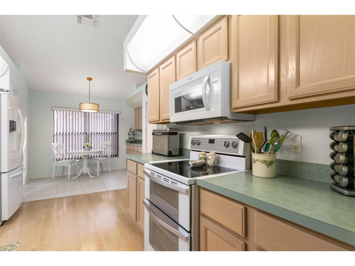 9315 Haas Drive Hudson FL 34669 TB8420820 image8