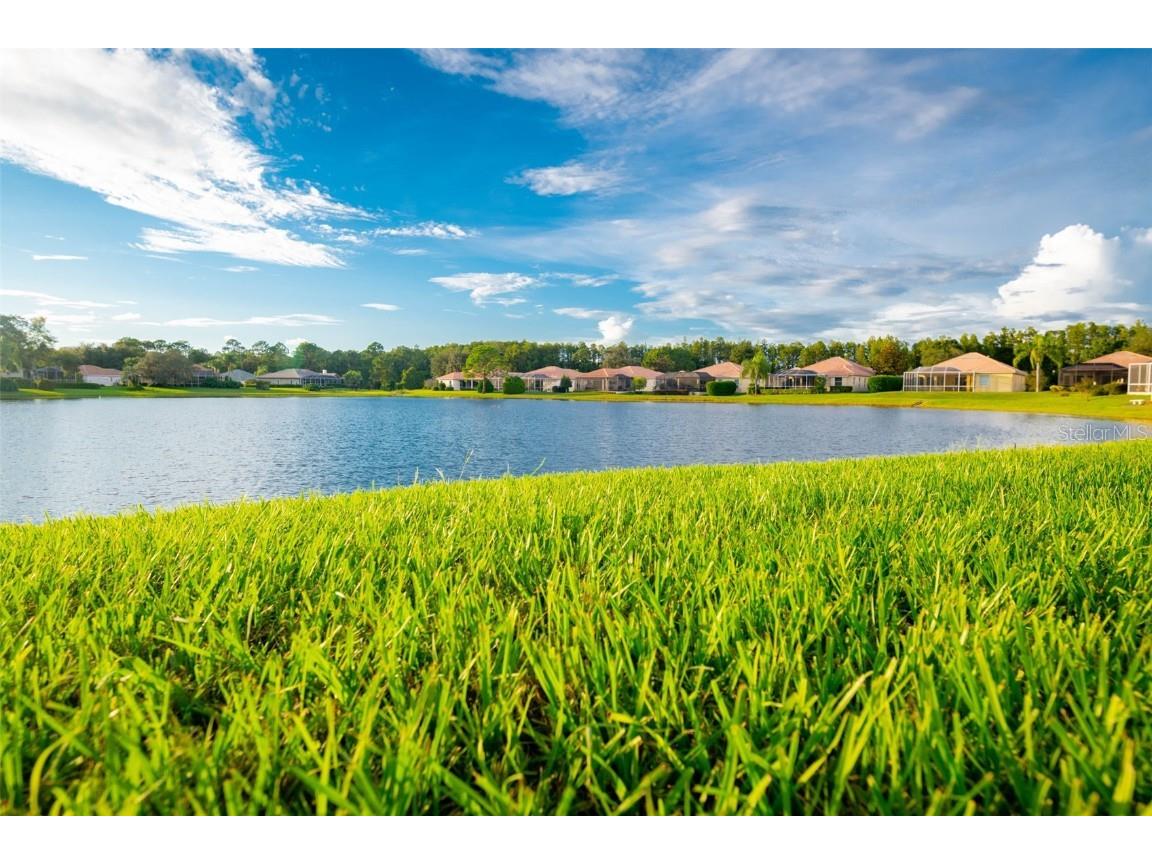 9316 Gentle Ben Court Weeki Wachee FL 34613 TB8458399 image54