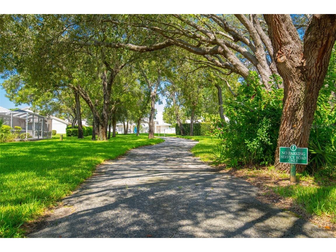 9316 Gentle Ben Court Weeki Wachee FL 34613 TB8458399 image55