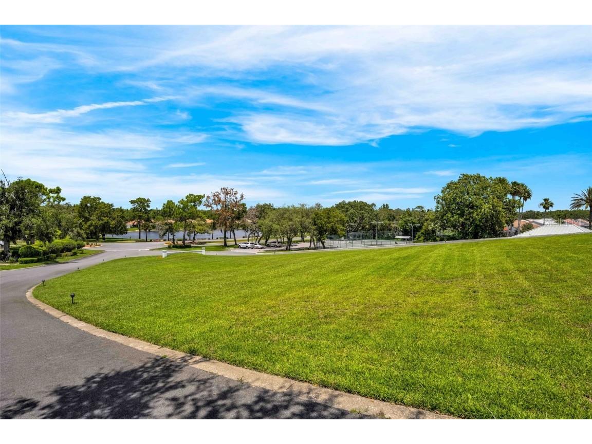 9316 Gentle Ben Court Weeki Wachee FL 34613 TB8458399 image76