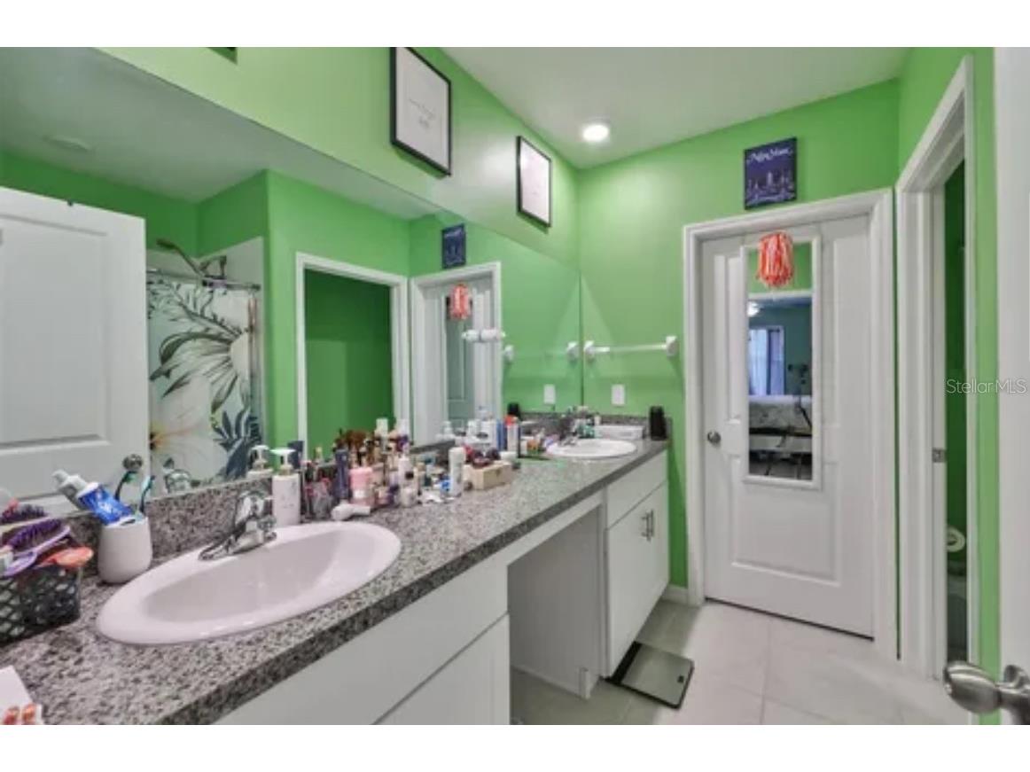 9317 Lemon Drop Loop Ruskin FL 33573 TB8423922 image11