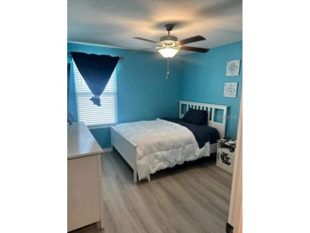 9317 Lemon Drop Loop Ruskin FL 33573 TB8423922 image13