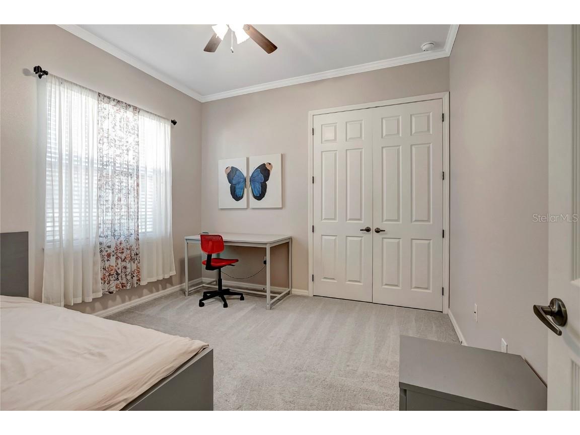 9317 Lisbon Street Seffner FL 33584 TB8417479 image53