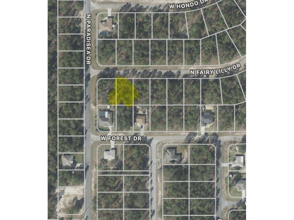 9317 N Fairy Lilly Drive Citrus Springs FL 34433 O6317488 image1