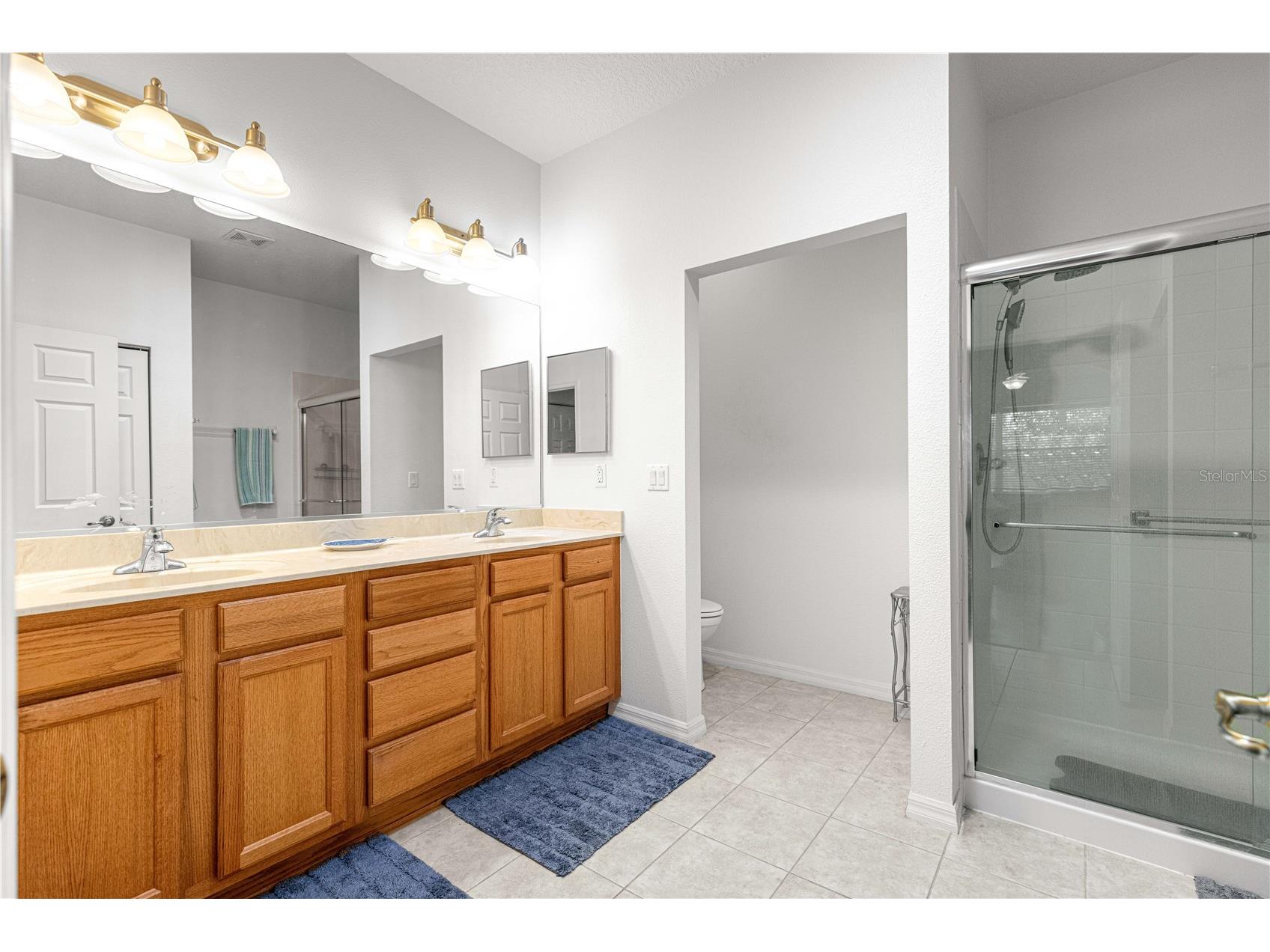 9317 SW 94th Loop Ocala FL 34481 OM725309 image21