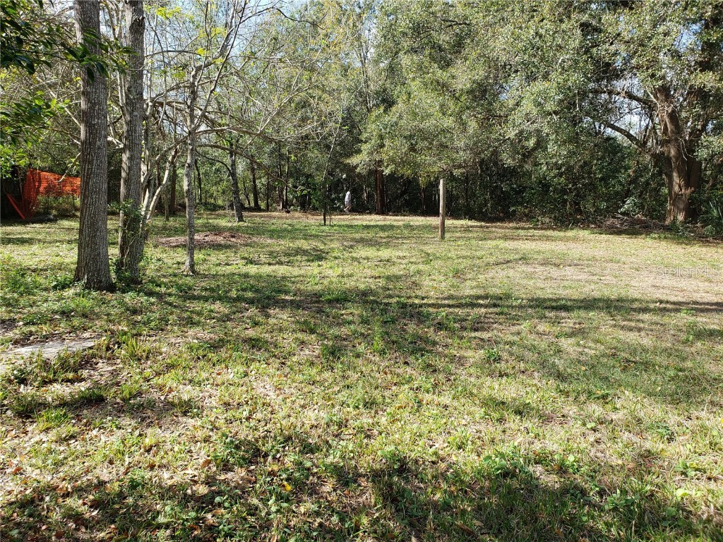 9318 Trevarthon Road Orlando FL 32817 - ECONLOCKAHATCHEE O6117948 image1