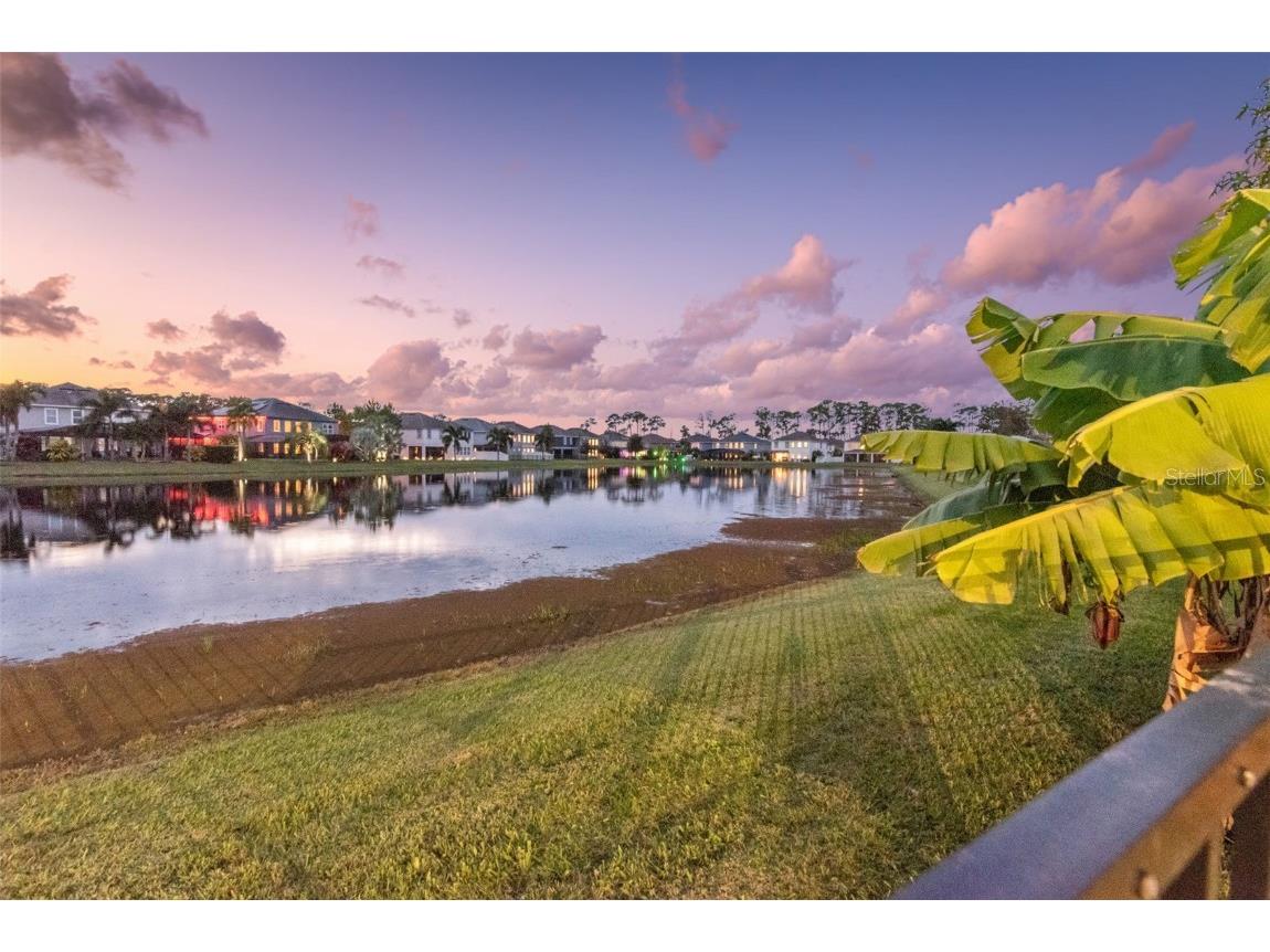 9319 Bradleigh Drive Winter Garden FL 34787 O6362694 image45