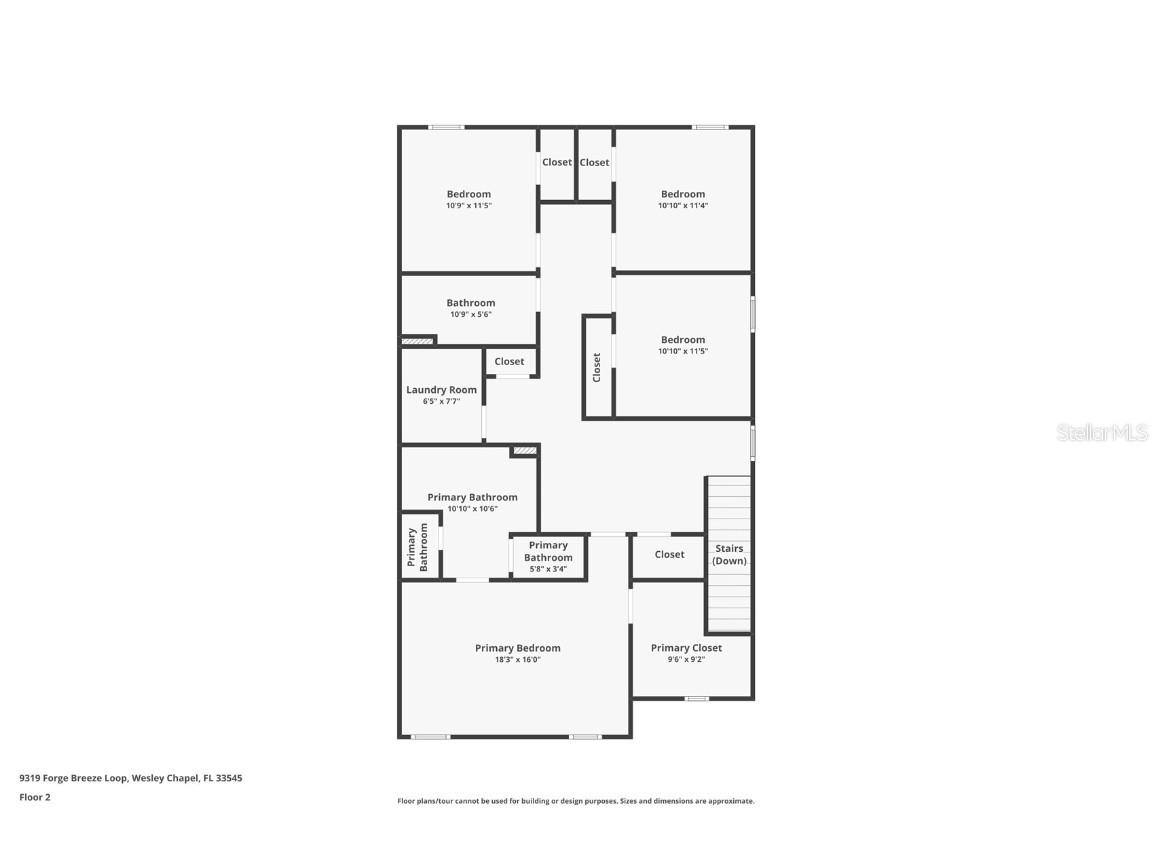 9319 Forge Breeze Loop Wesley Chapel FL 33545 TB8450383 image44