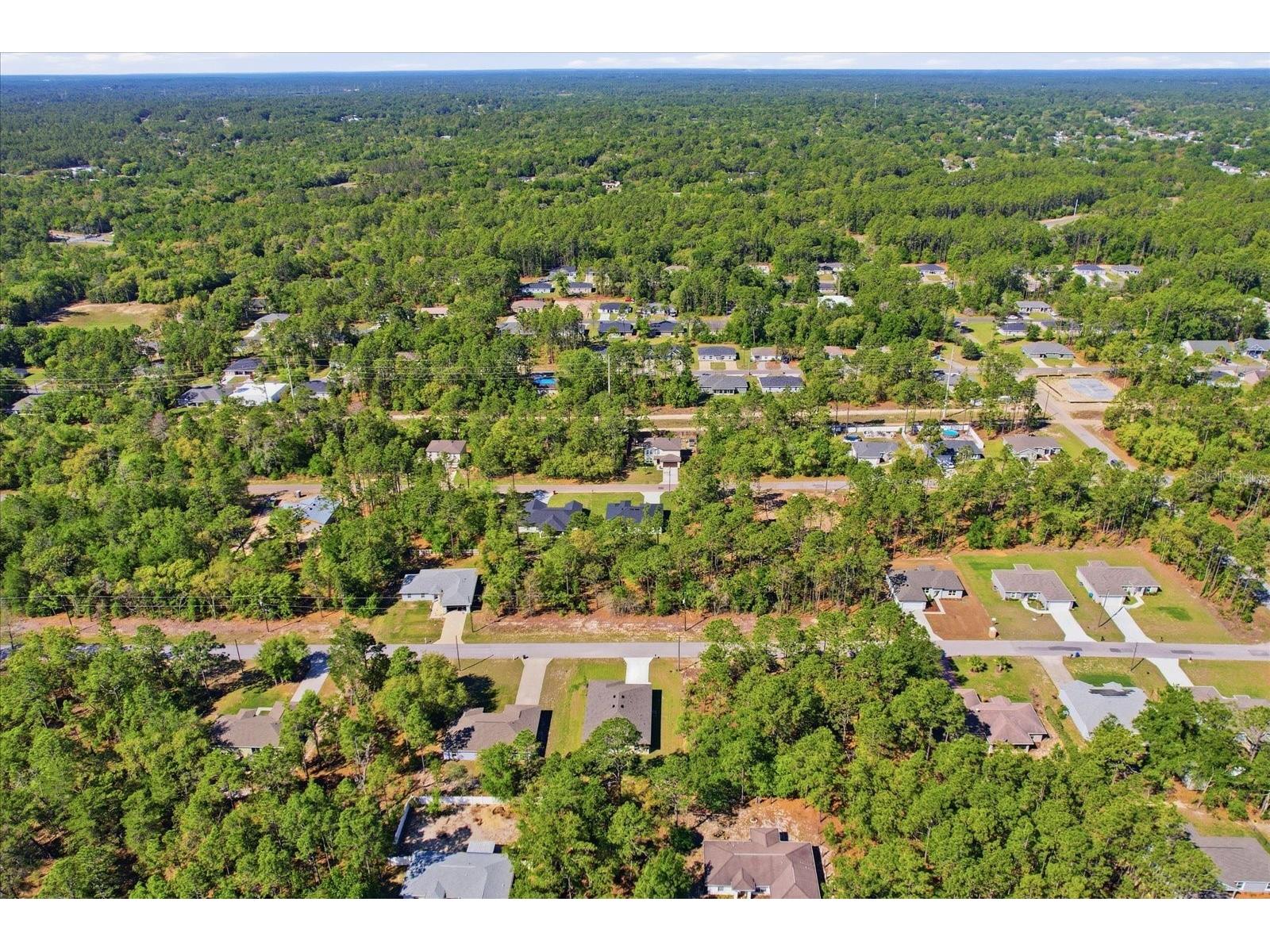9319 N Cortlandt Drive Citrus Springs FL 34434 OM723229 image44