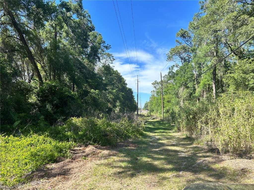 9319 S Florida Avenue Floral City FL 34436 OM699528 image2