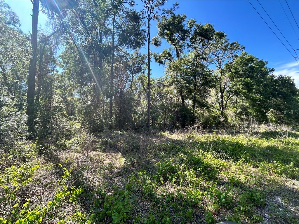 9319 S Florida Avenue Floral City FL 34436 OM699528 image3