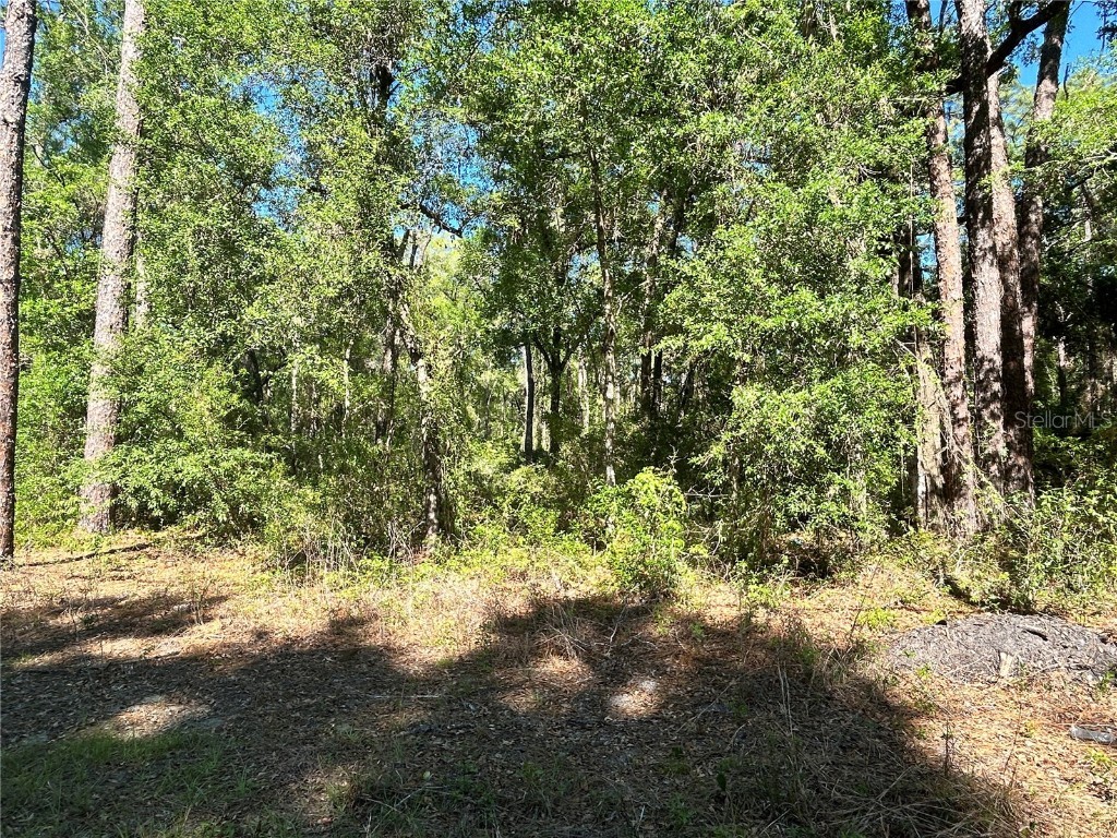 9319 S Florida Avenue Floral City FL 34436 OM699528 image4