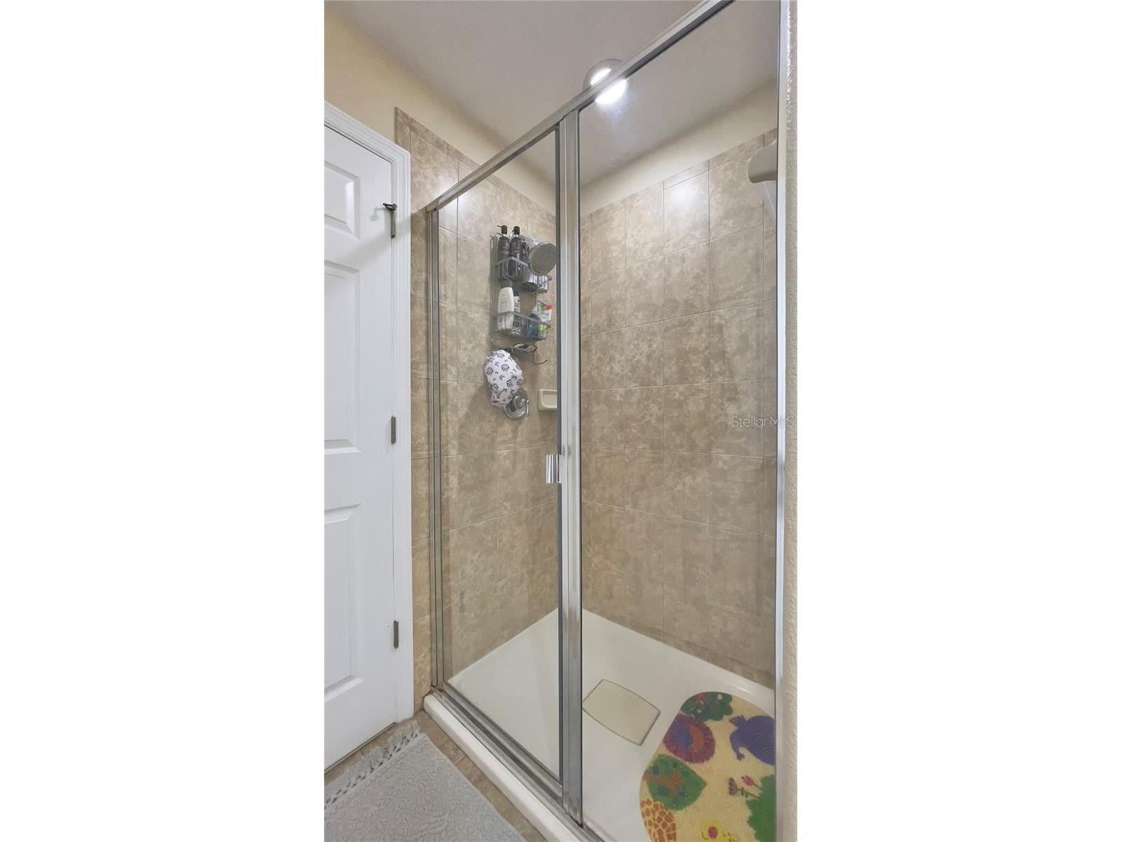 9319 Strongbark Lane Orlando FL 32832 O6400190 image19