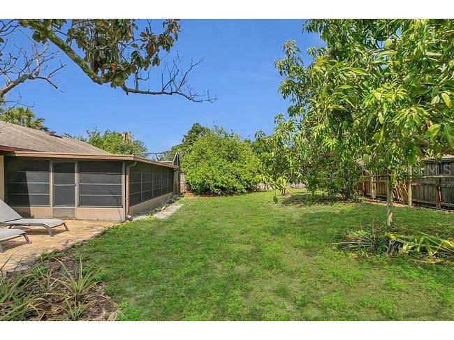 9319 Woodbreeze Boulevard Windermere FL 34786 O6384930 image30
