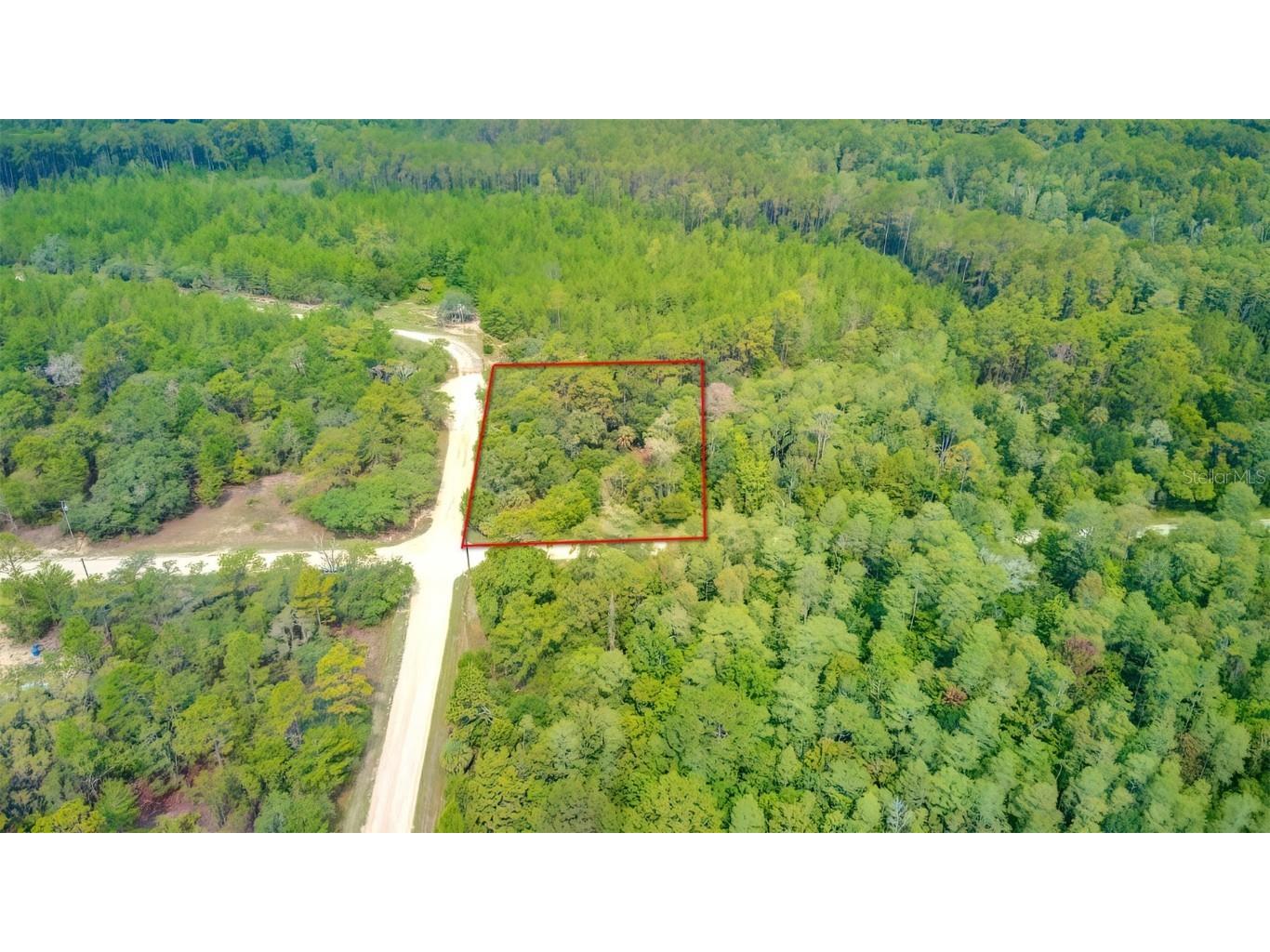 9319 Zebrafinch Avenue Weeki Wachee FL 34614 W7855960 image1