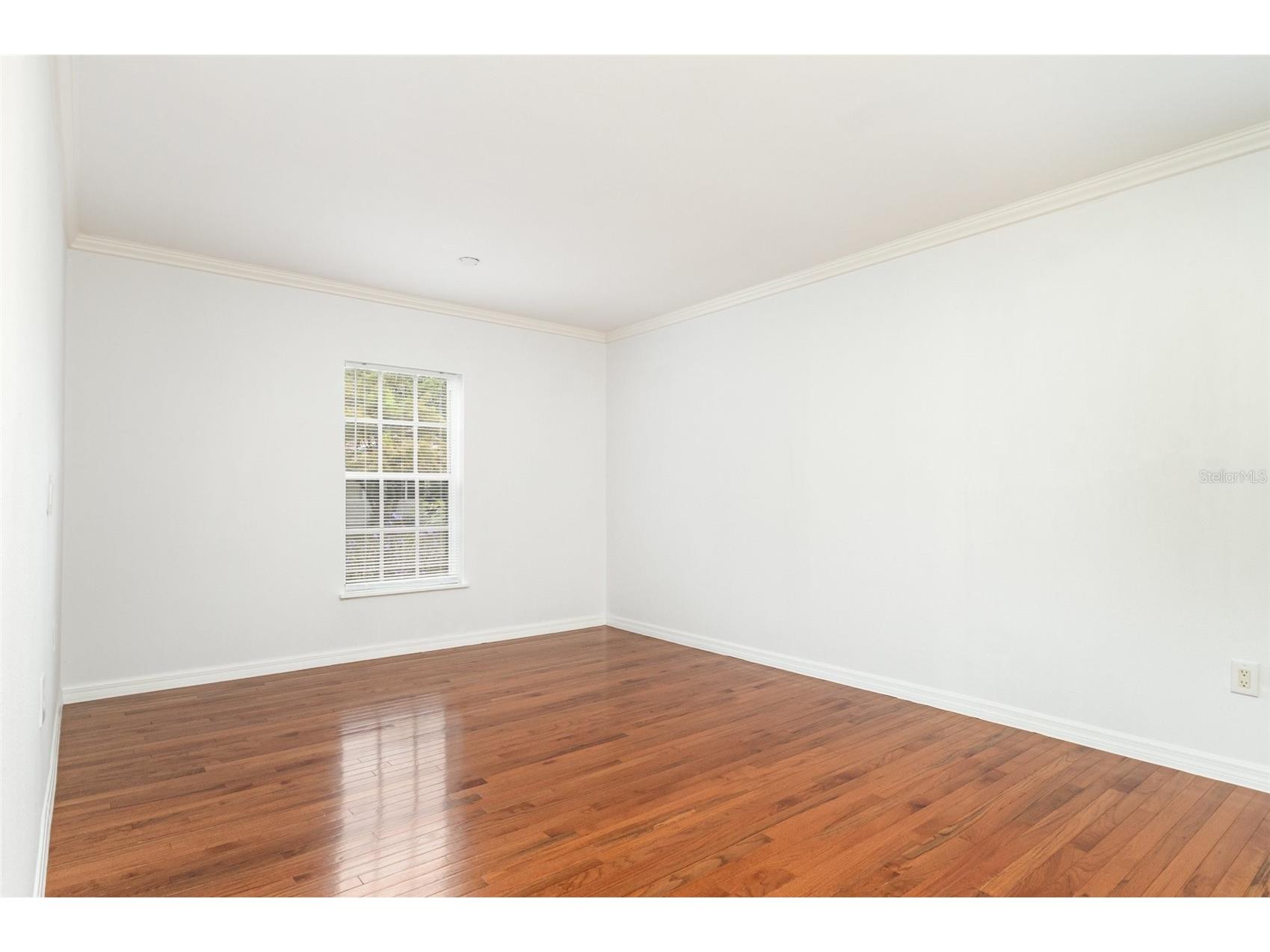 932 Augusta Street Lakeland FL 33805 TB8500766 image10