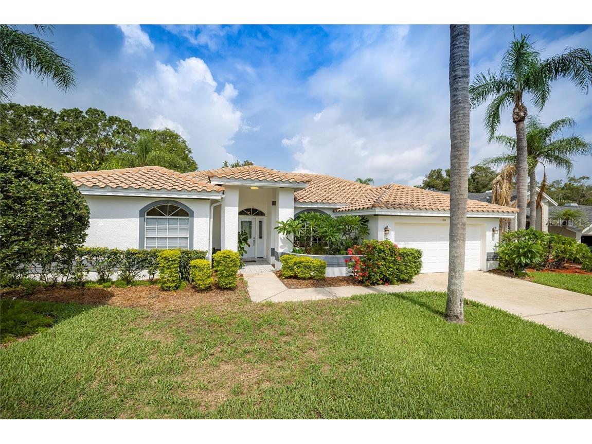 932 Belted Kingfisher Drive S Palm Harbor FL 34683 U8201724 image1