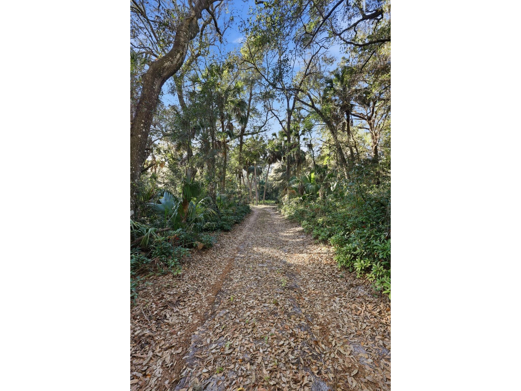 932 Country Club Road Sanford FL 32773 O6385647 image21