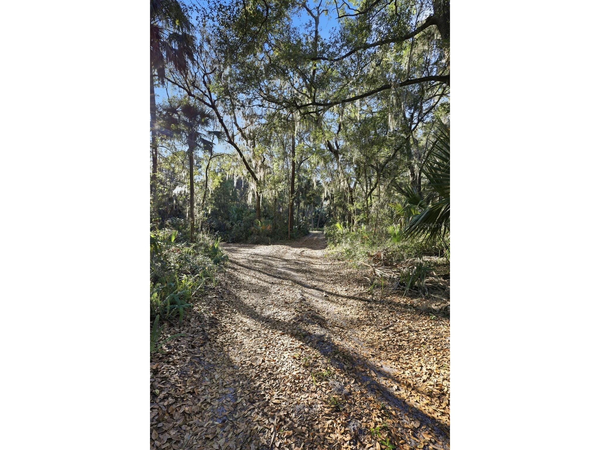 932 Country Club Road Sanford FL 32773 O6385647 image27