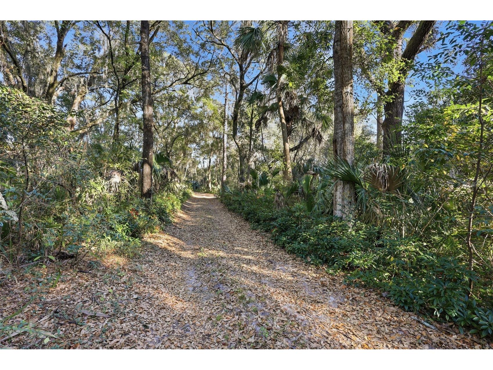 932 Country Club Road Sanford FL 32773 O6385647 image31