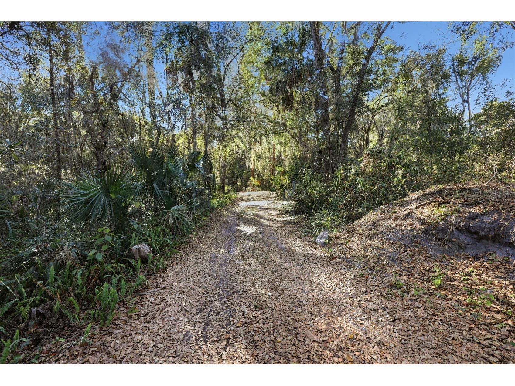 932 Country Club Road Sanford FL 32773 O6385805 image13