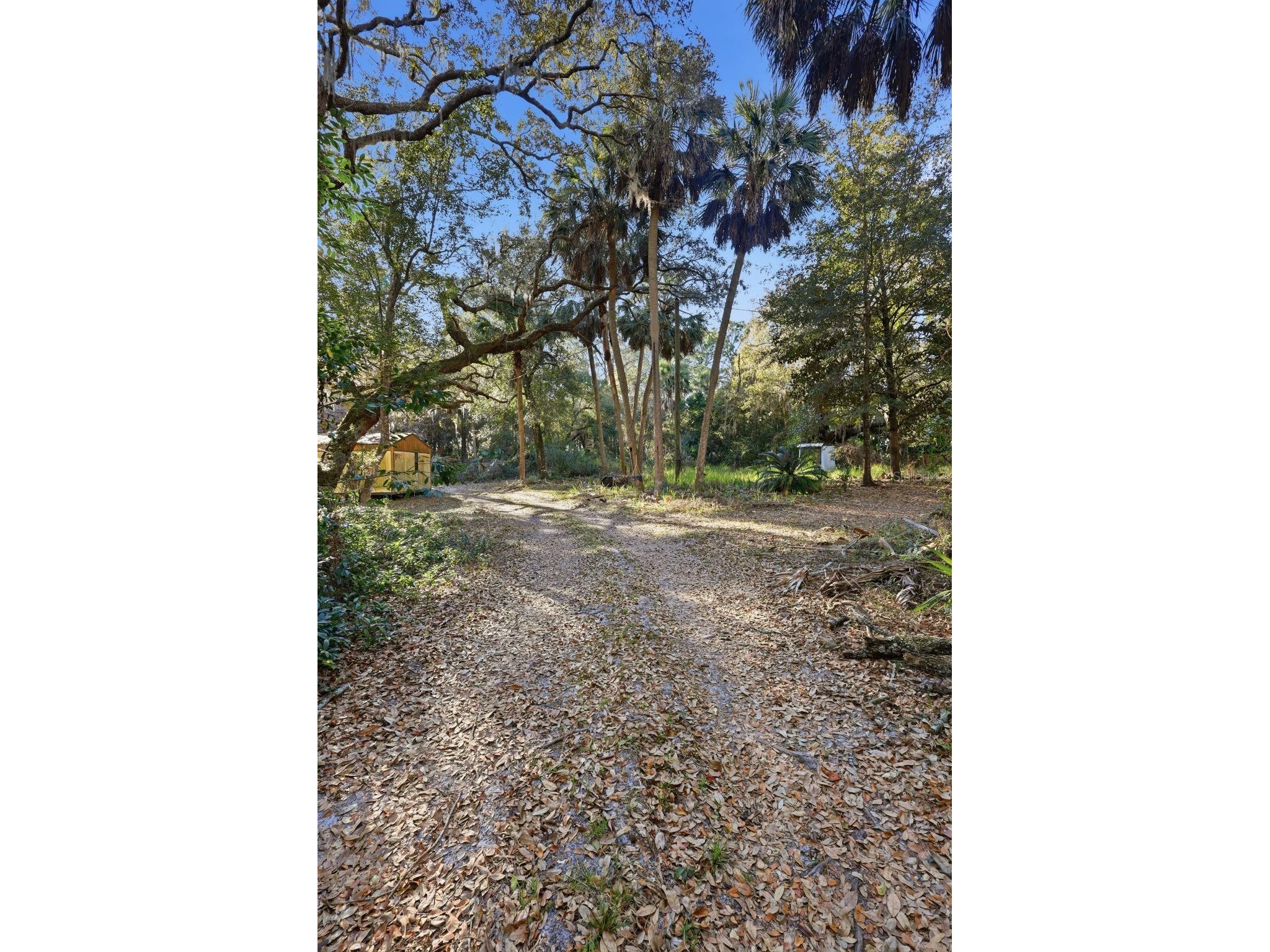 932 Country Club Road Sanford FL 32773 O6385805 image23