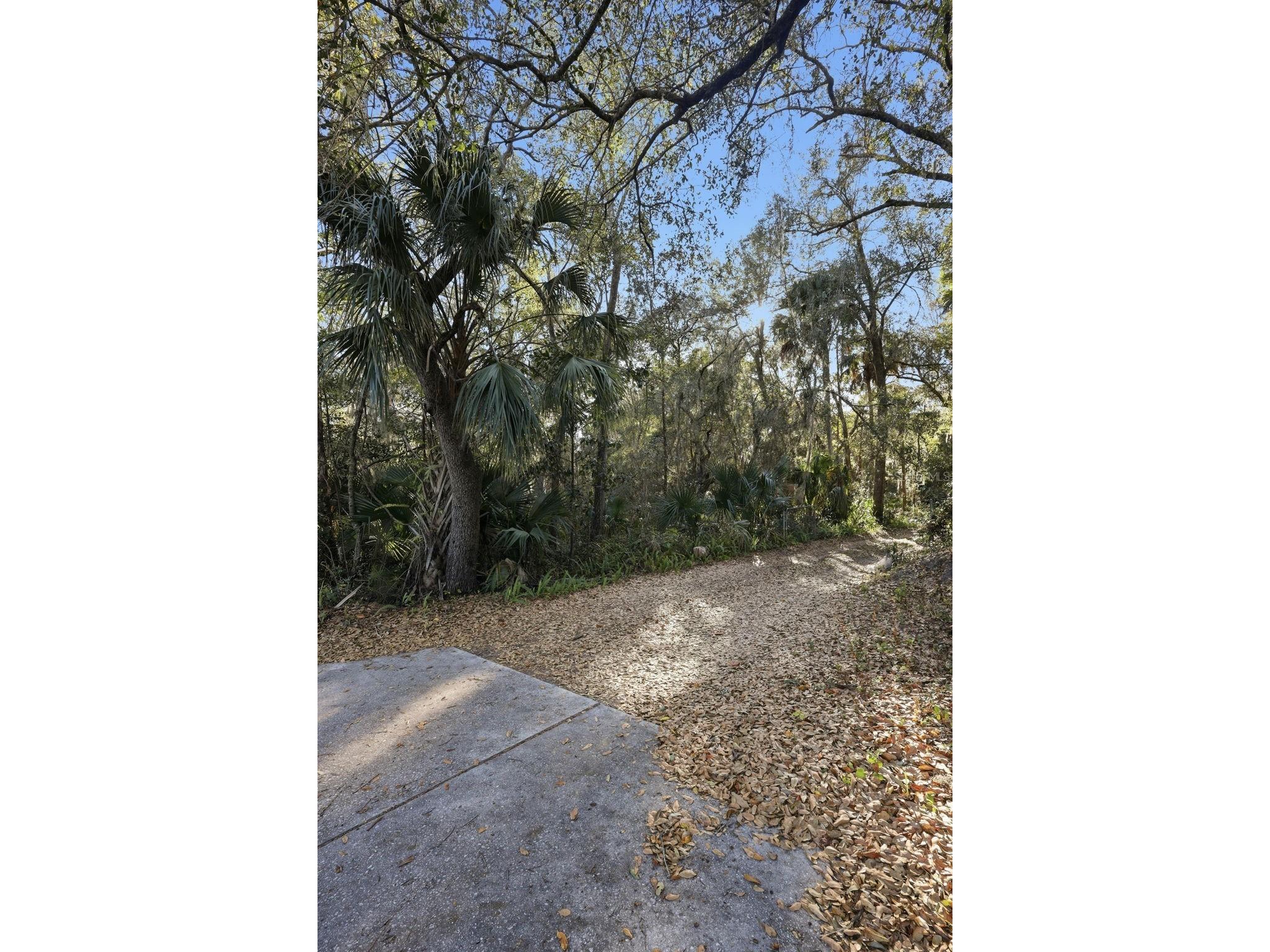 932 Country Club Road Sanford FL 32773 O6385805 image25