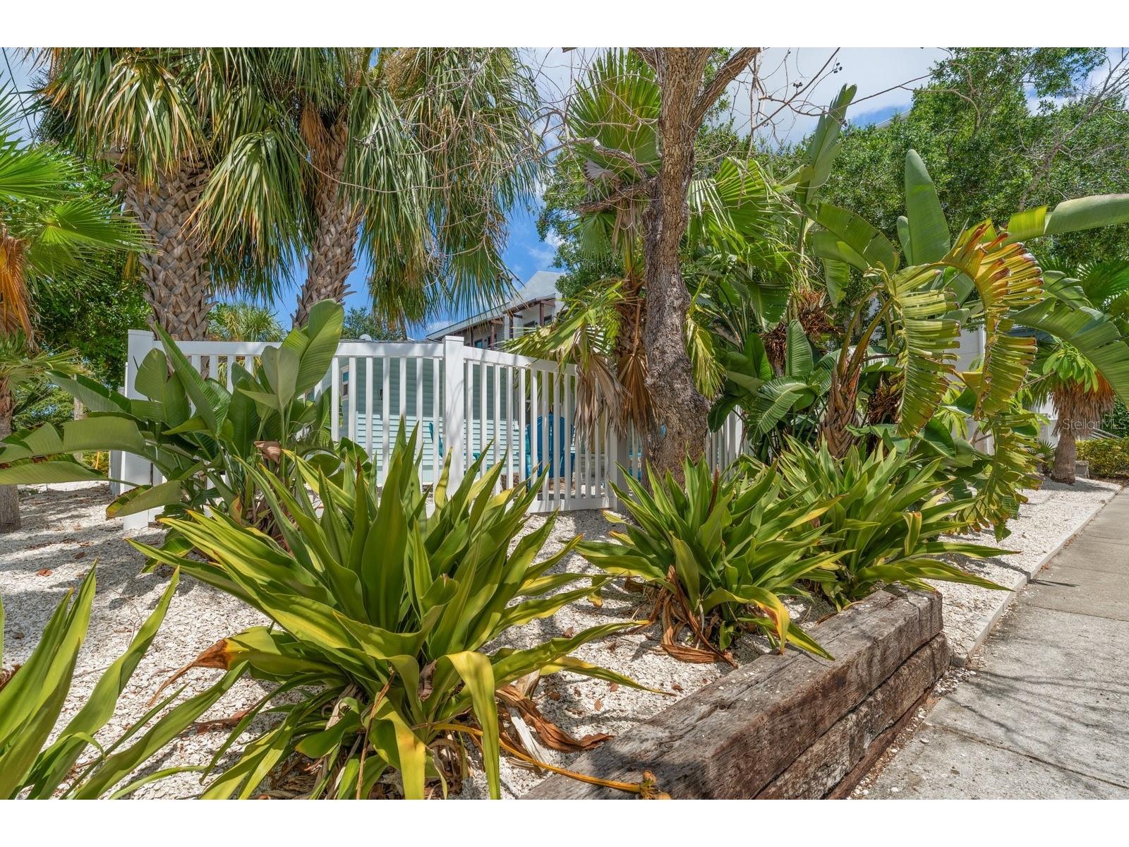 932 Highland Avenue Dunedin FL 34698 TB8525806 image23