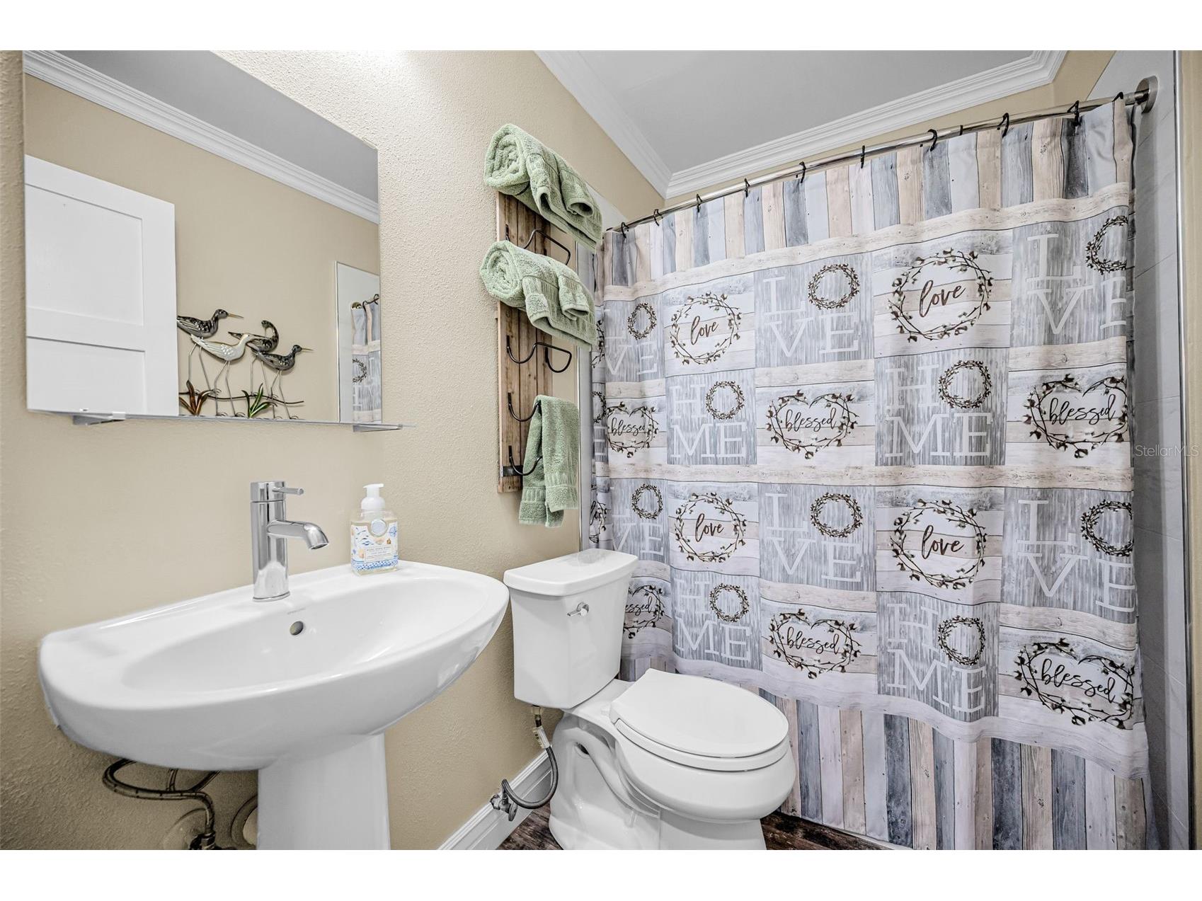 932 Myakka Court NE Saint Petersburg FL 33702 TB8508614 image21