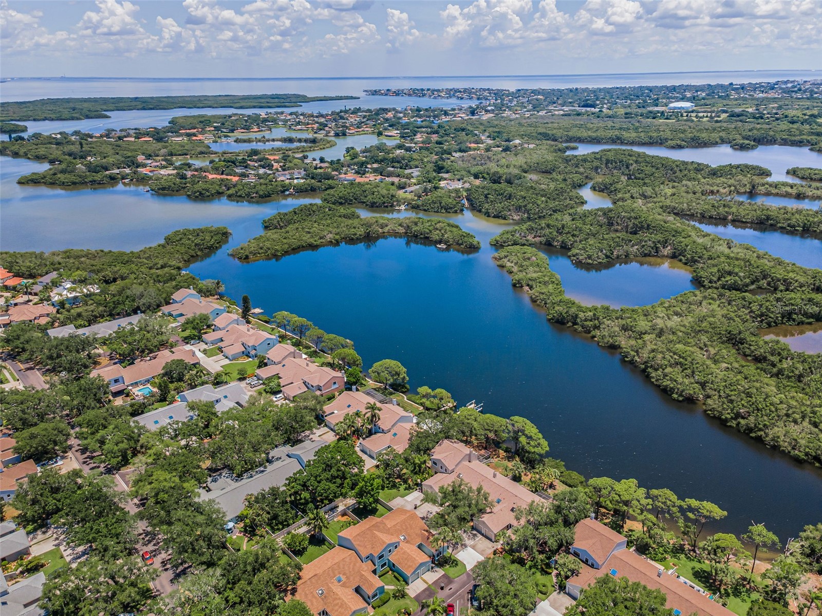 932 Myakka Court NE Saint Petersburg FL 33702 TB8508614 image37