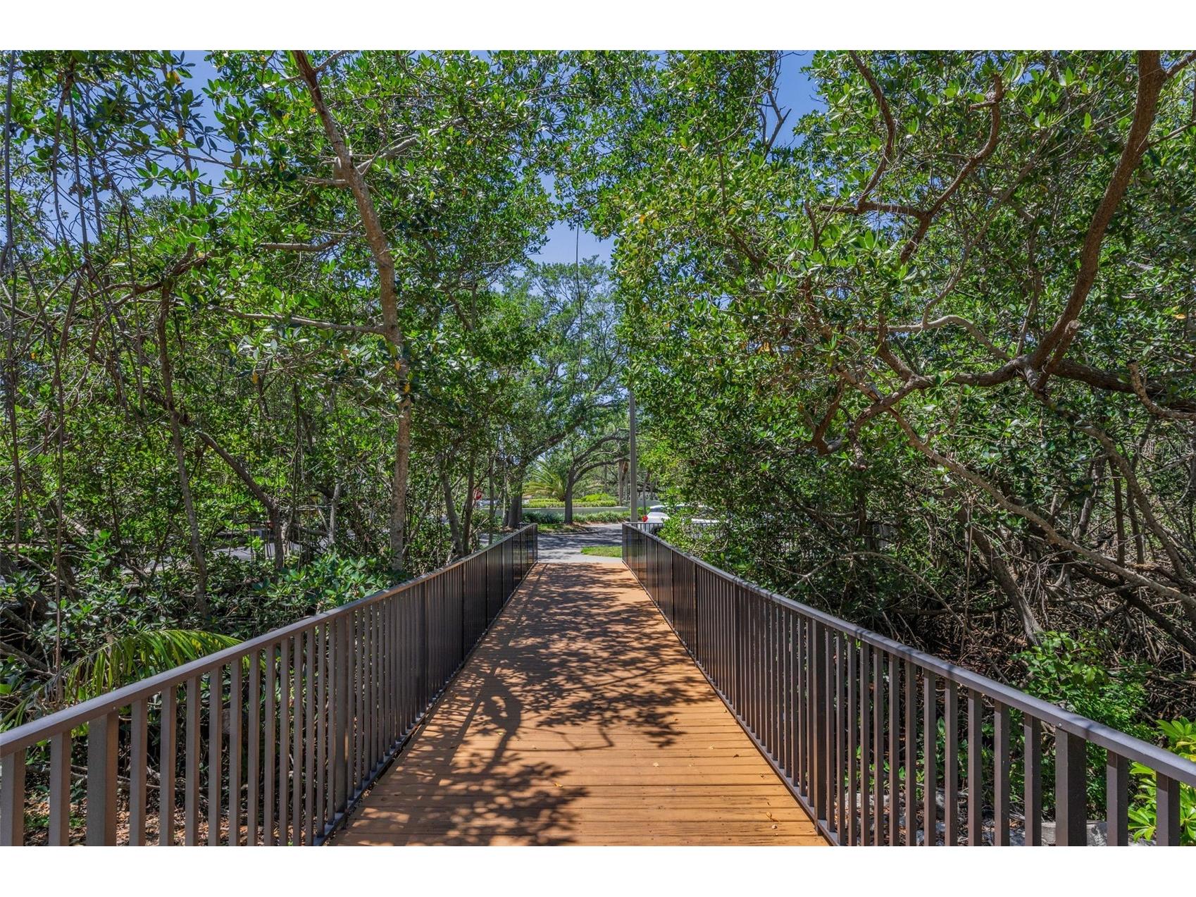 932 Myakka Court NE Saint Petersburg FL 33702 TB8508614 image47