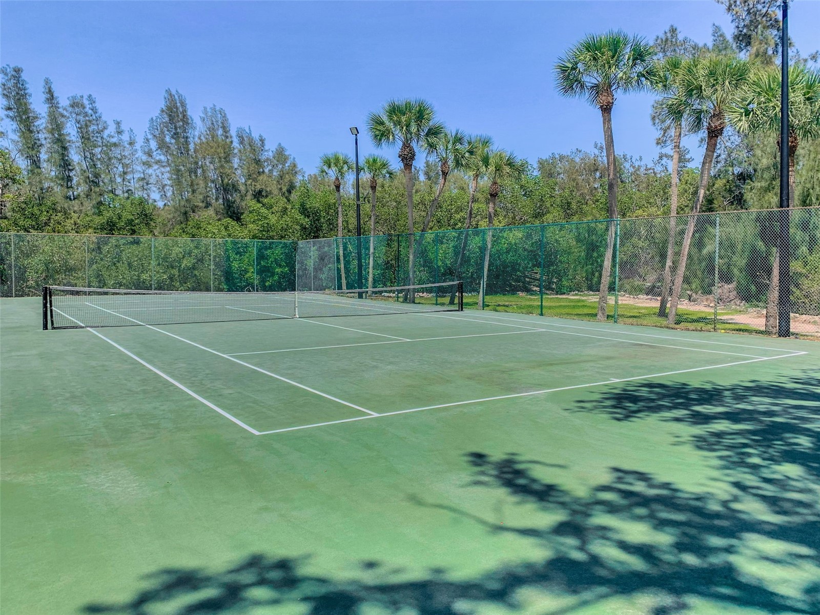 932 Myakka Court NE Saint Petersburg FL 33702 TB8508614 image49