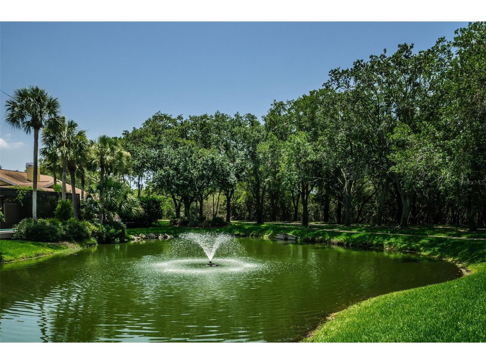 932 Myakka Court NE Saint Petersburg FL 33702 TB8508614 image52