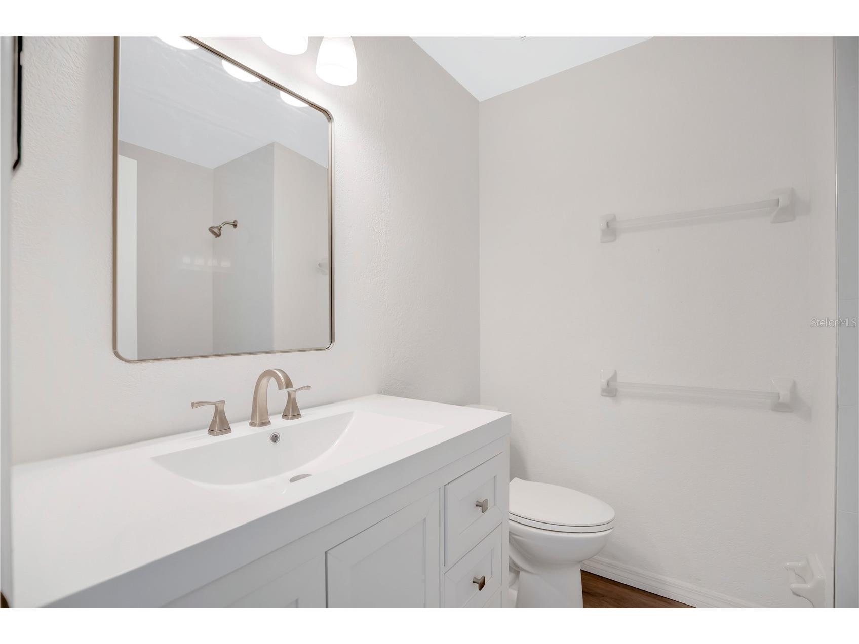 932 W Charing Cross Circle Lake Mary FL 32746 O6395342 image17