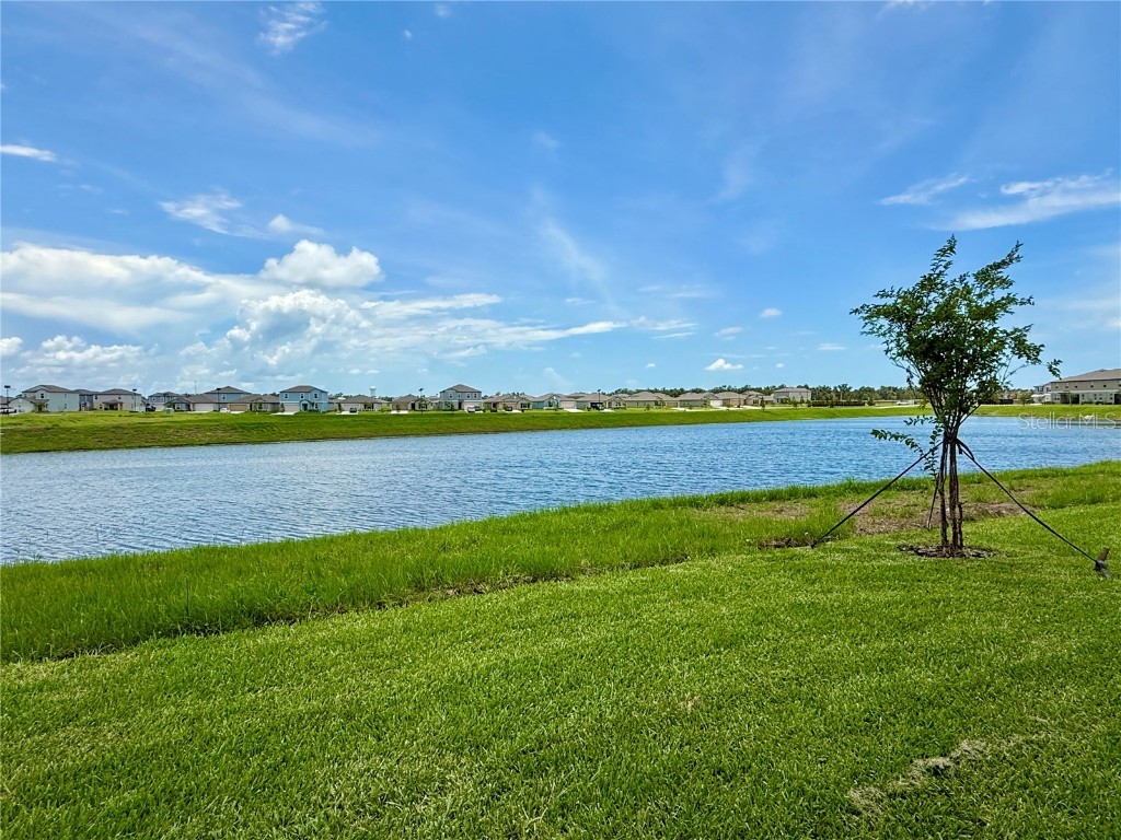 9320 Bonita Mar Drive Parrish FL 34219 TB8402508 image29