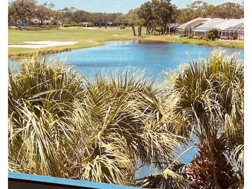 9320 Clubside Circle #2308 Sarasota FL 34238 A4654596 image31