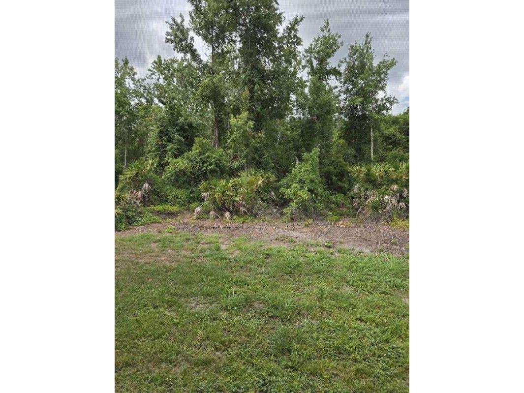 9321 Huntington Parkway Tampa FL 33647 TB8512022 image2