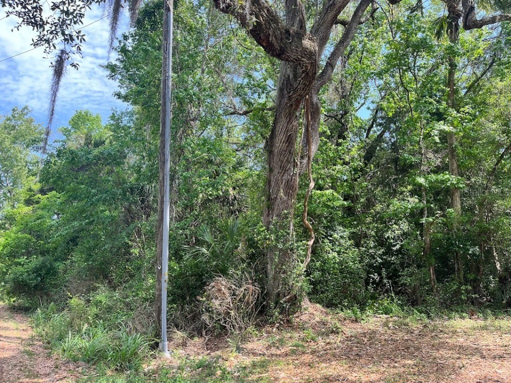 9322 W Wisconsin Court Crystal River FL 34428 OM655785 image1