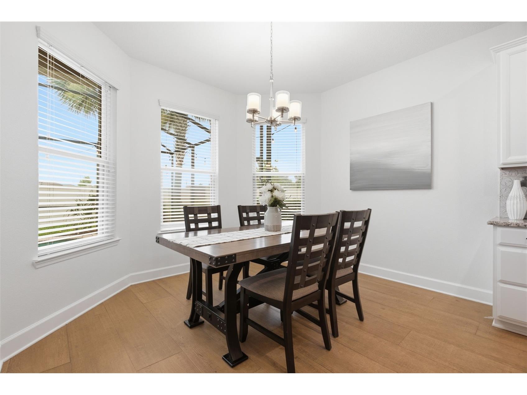 9323 Bella Vita Circle Land O Lakes FL 34637 TB8518732 image25