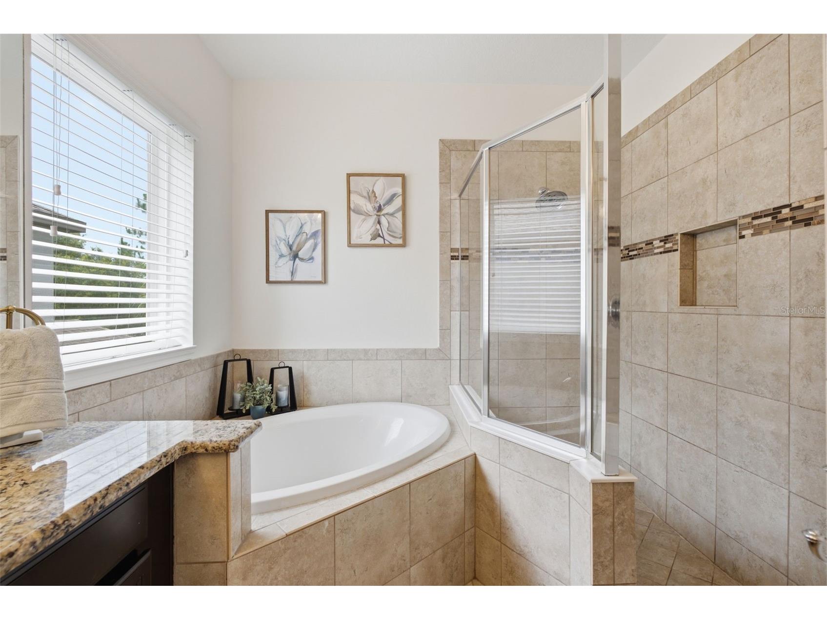 9323 Bella Vita Circle Land O Lakes FL 34637 TB8518732 image41